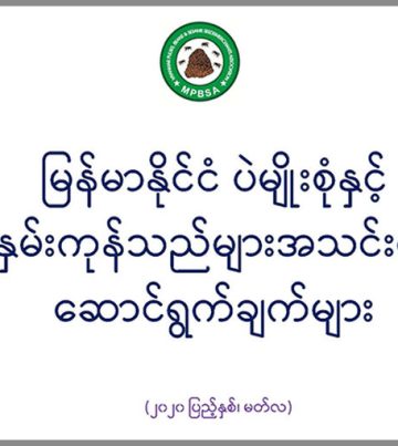 mpbsmaactivity_767x511