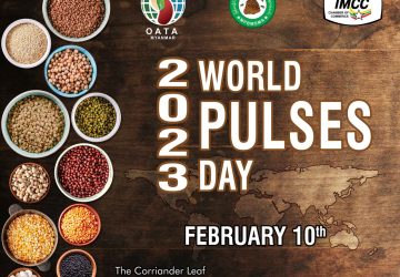 WPD23_Banner_1600x1396